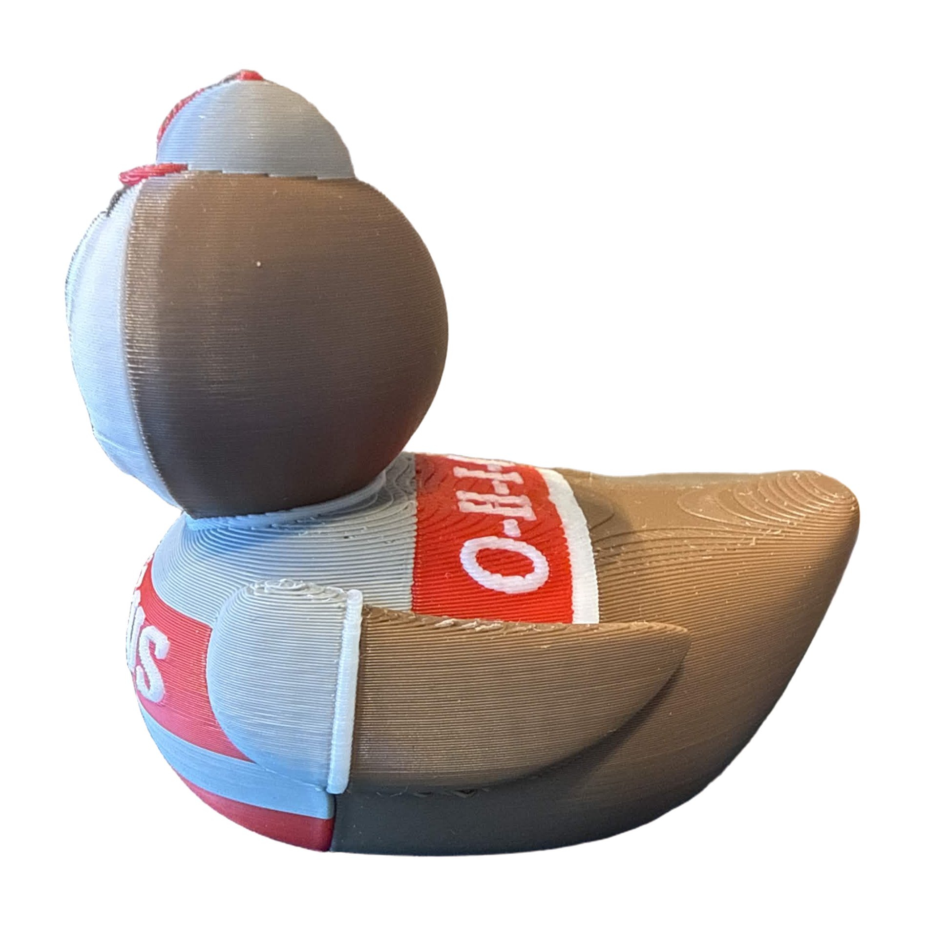 Ohio Buckeyes Duck