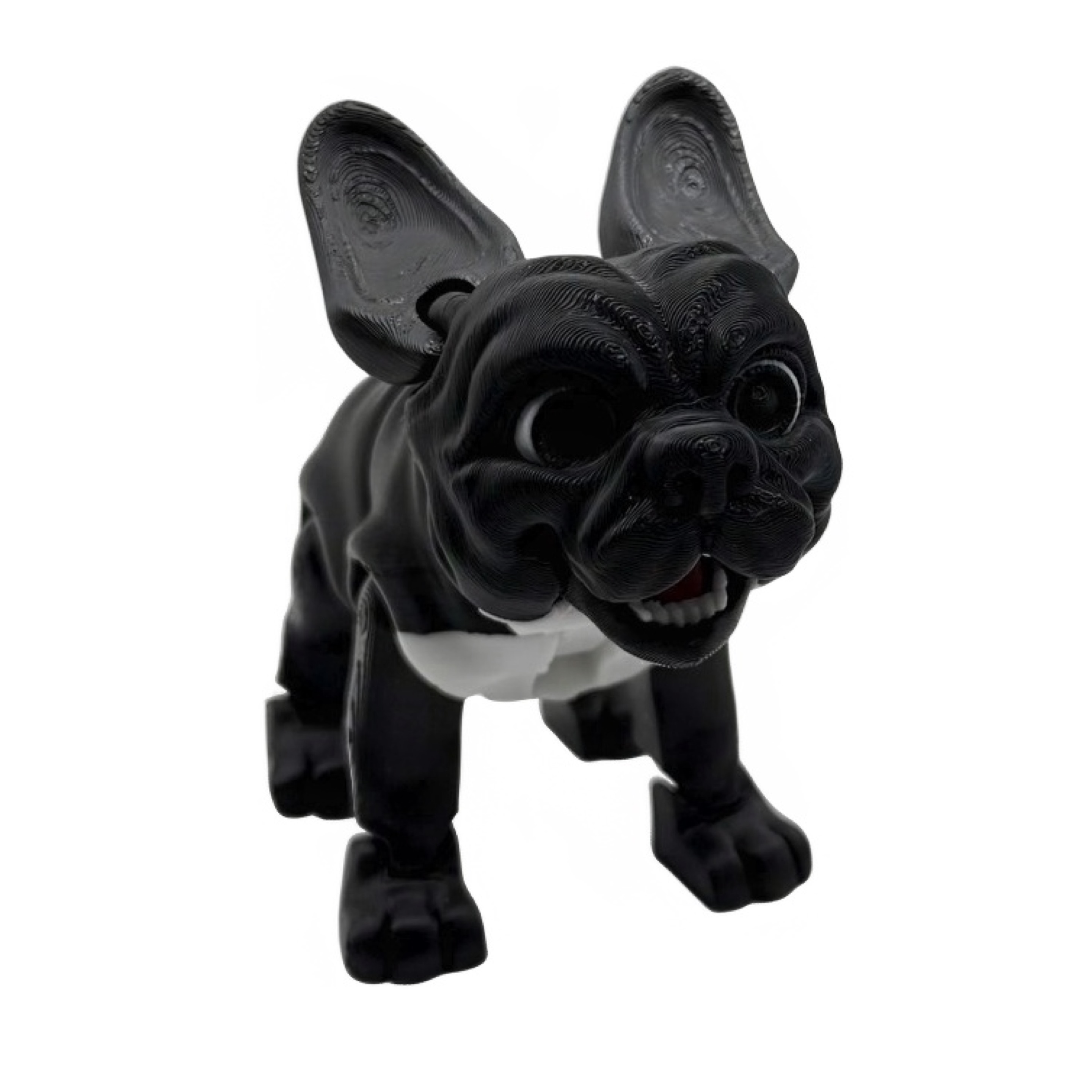 Stella the Frenchie