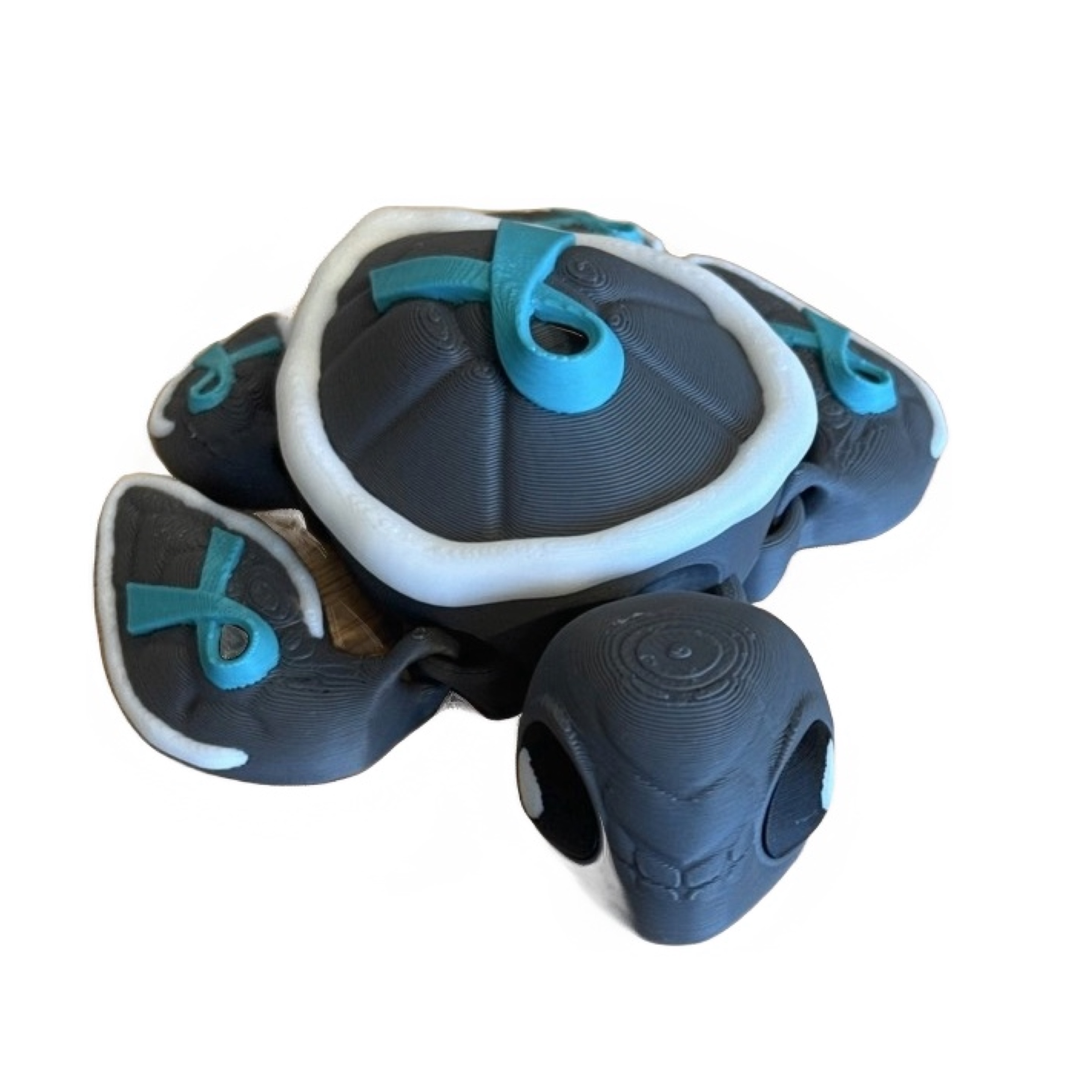 Ovarian Cancer Awareness Turtle 