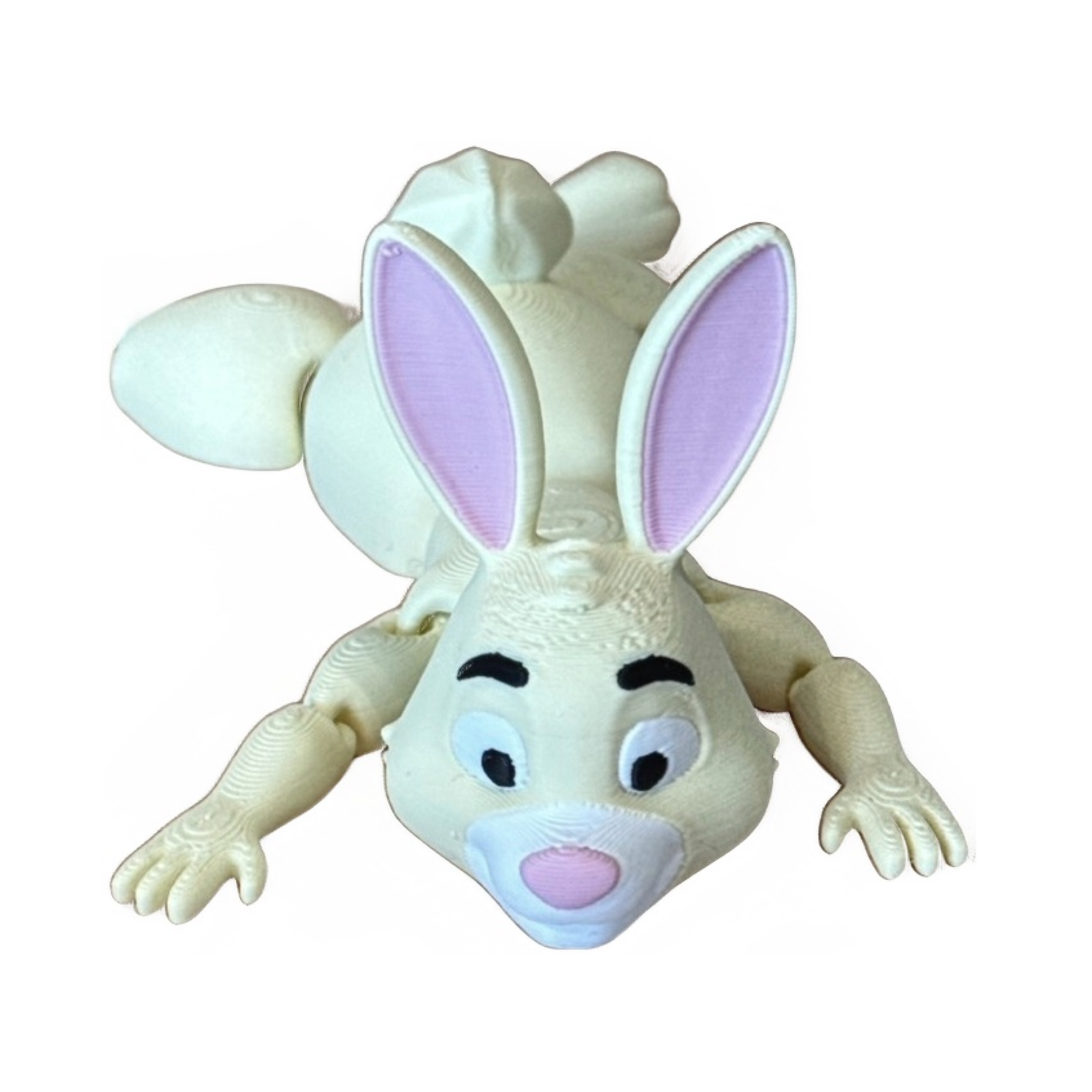 Rabbit
