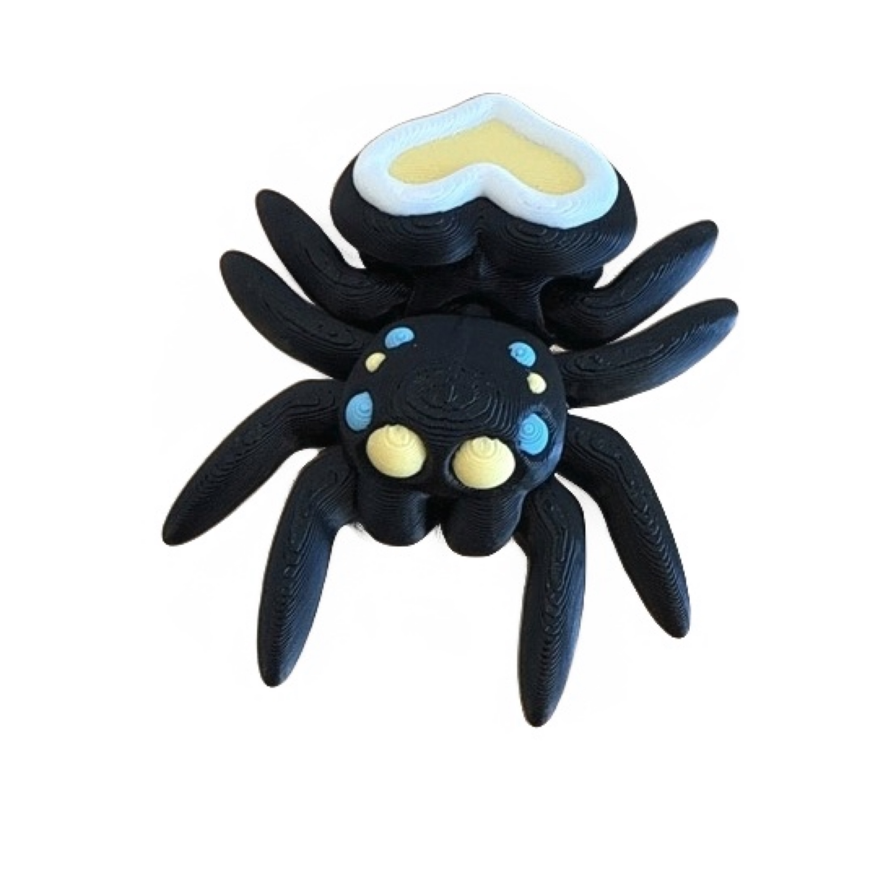 Spider 