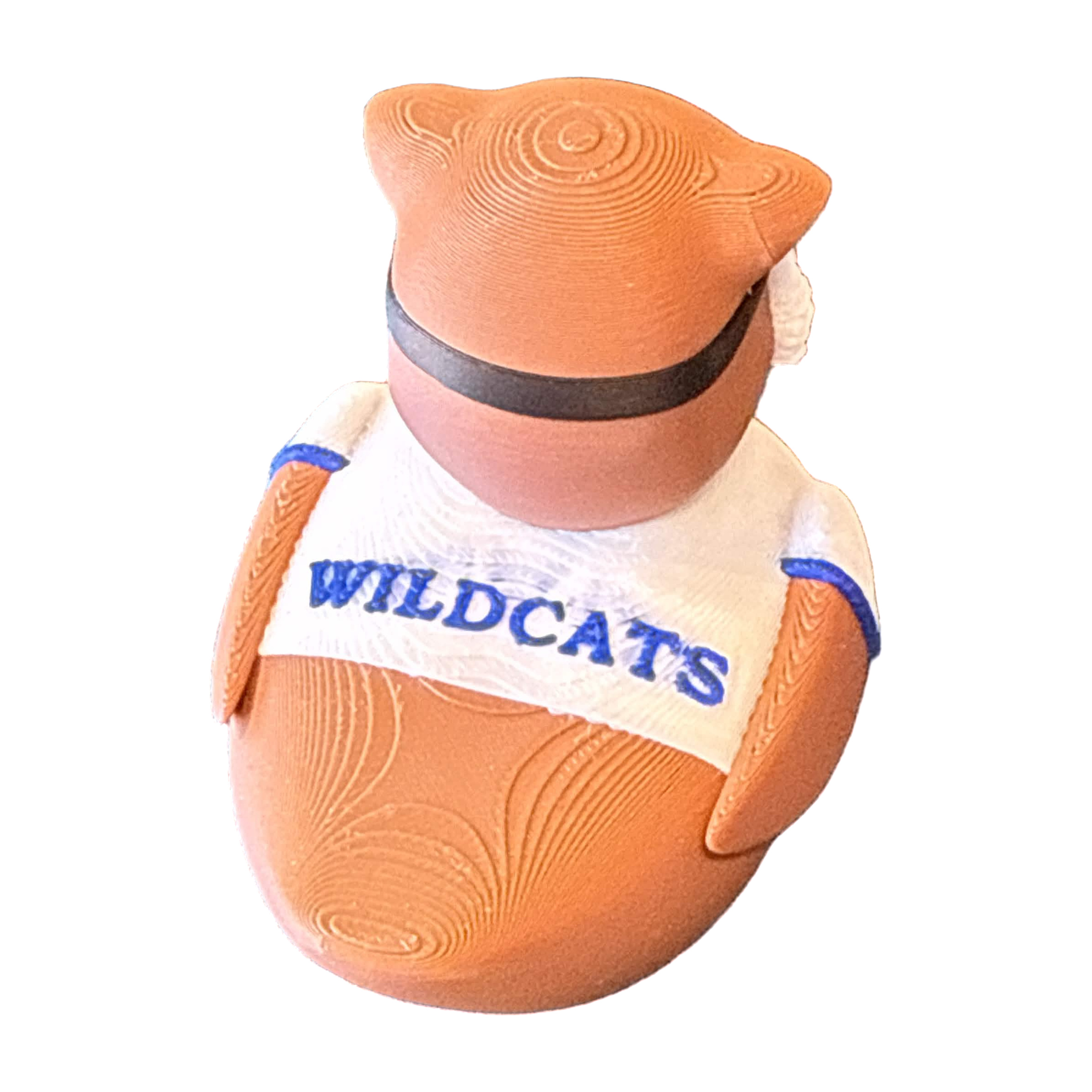 Univ of Kentucky Duck