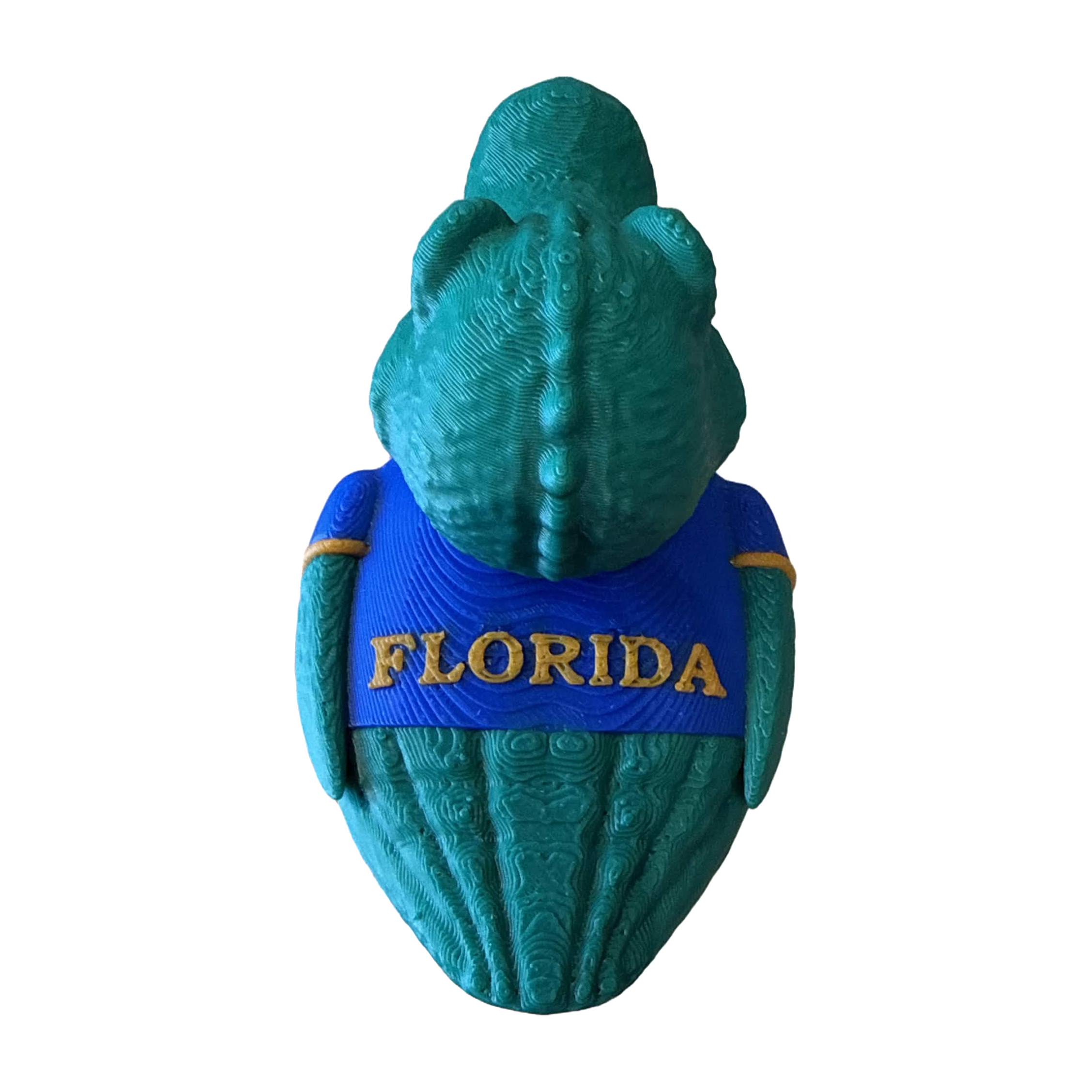 Florida Gator Duck