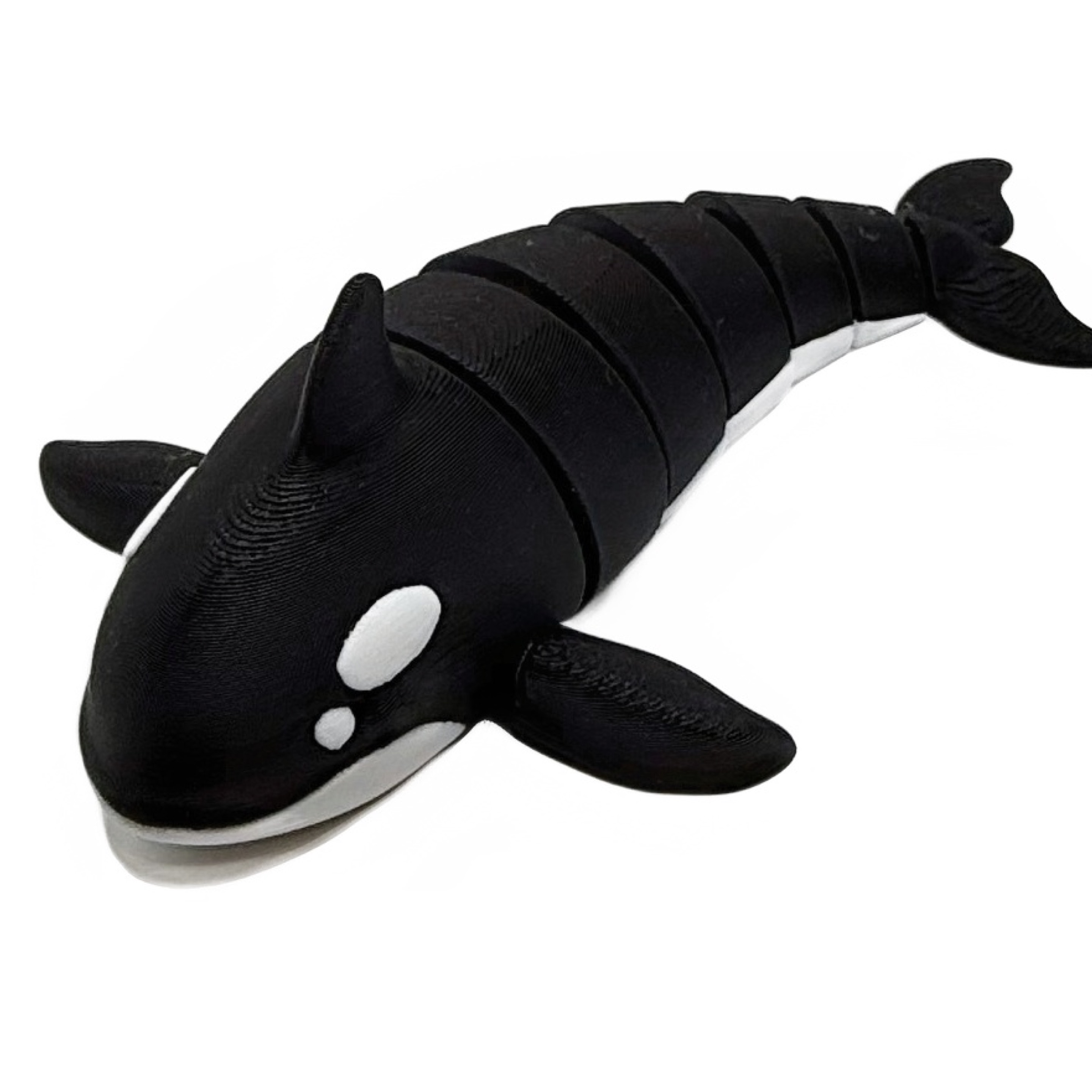 Orca Whale