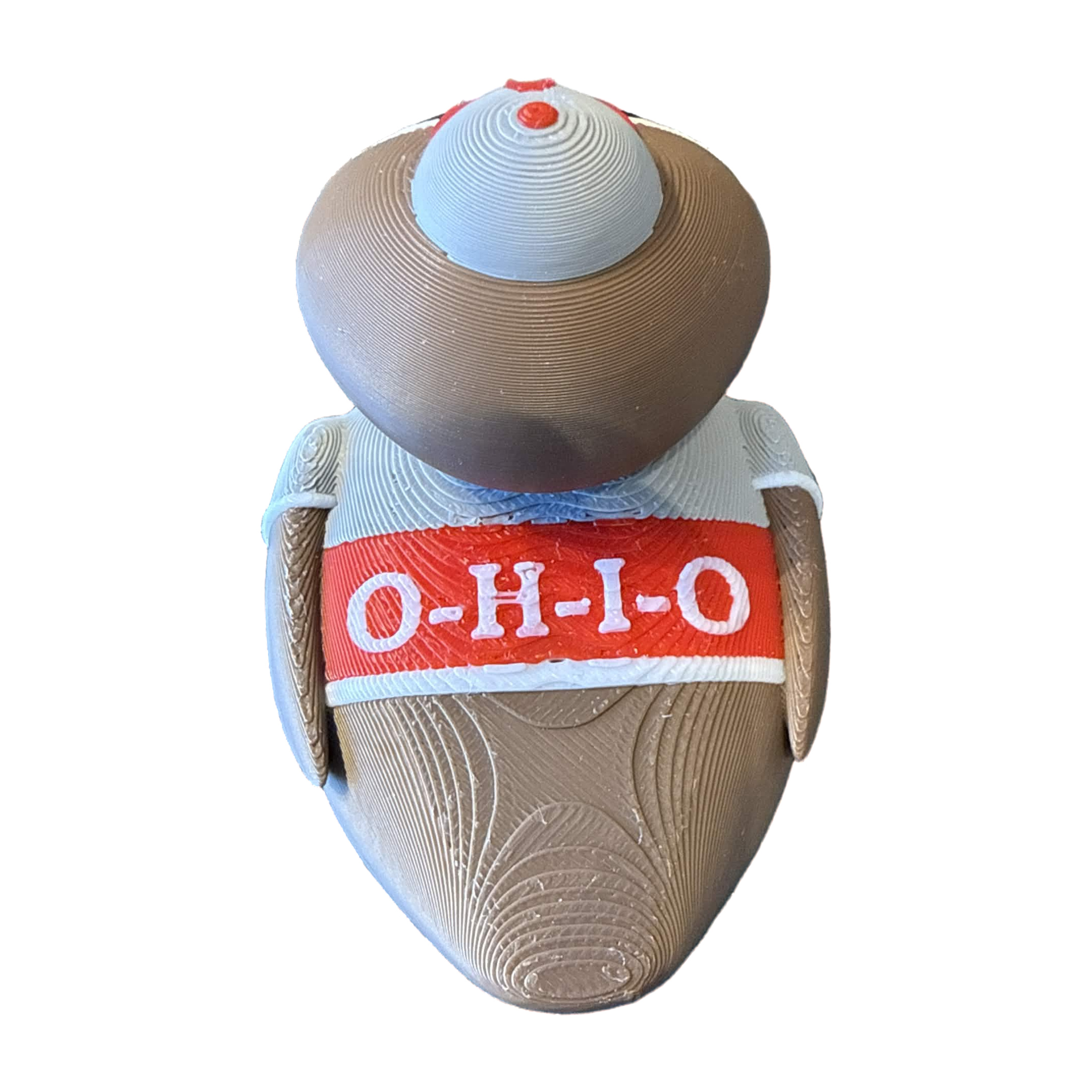 Ohio Buckeyes Duck