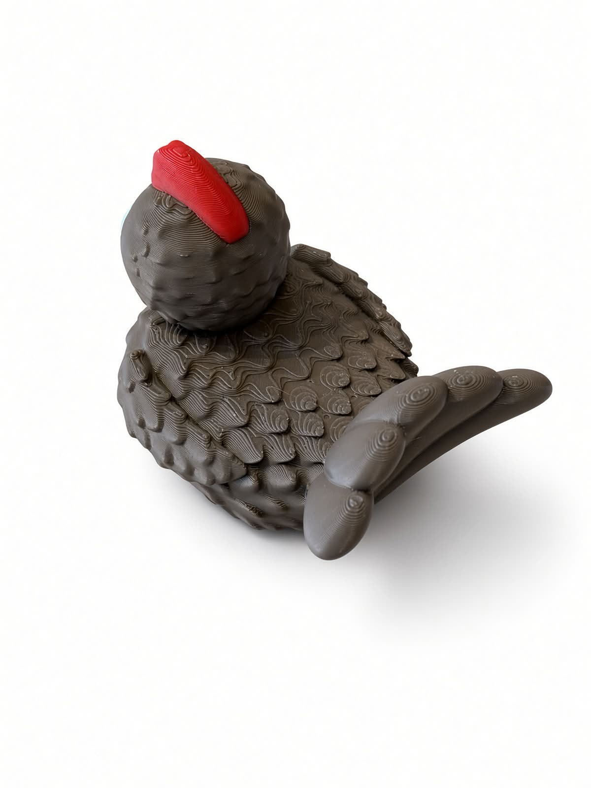 Turkey Duck
