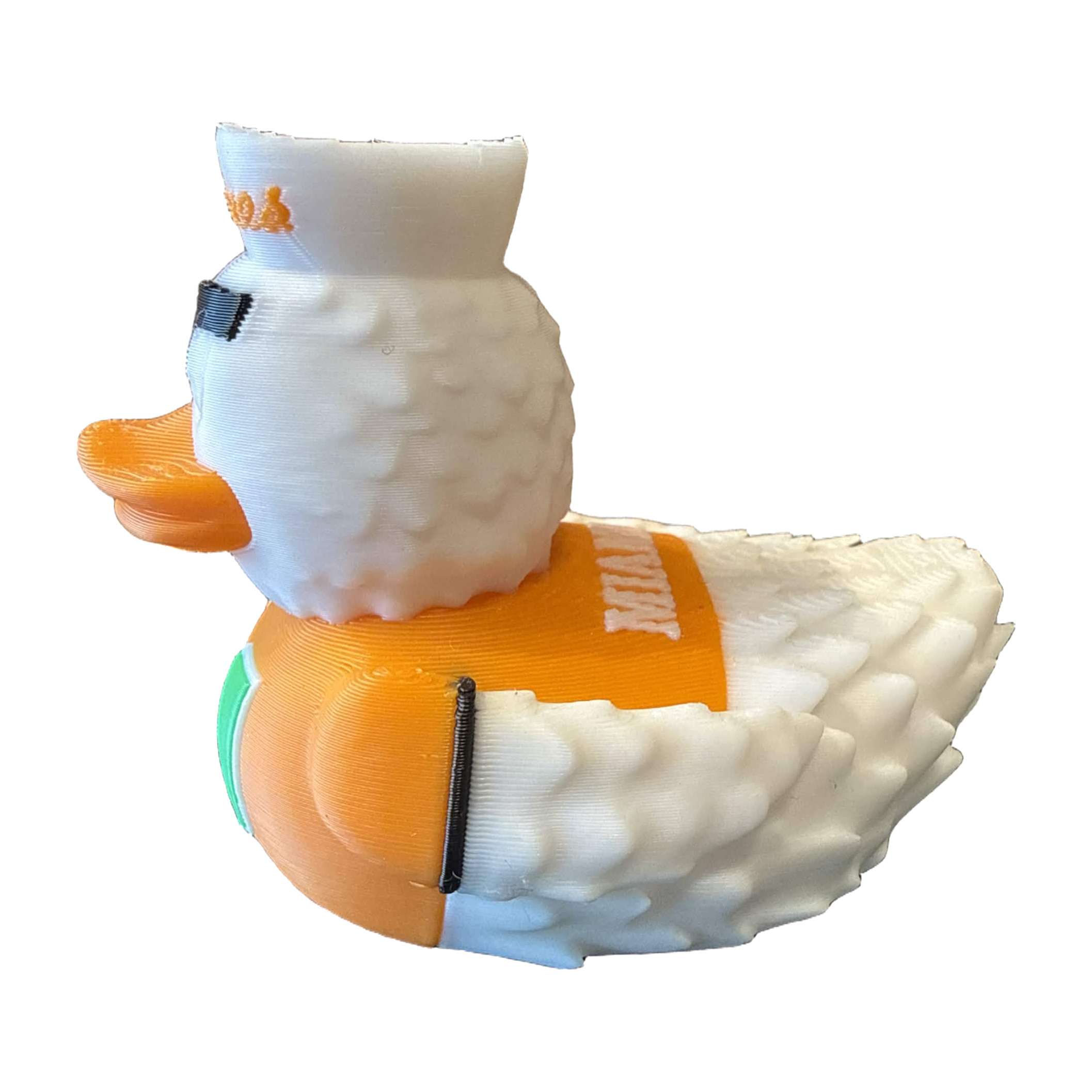 Miami Hurricane Duck