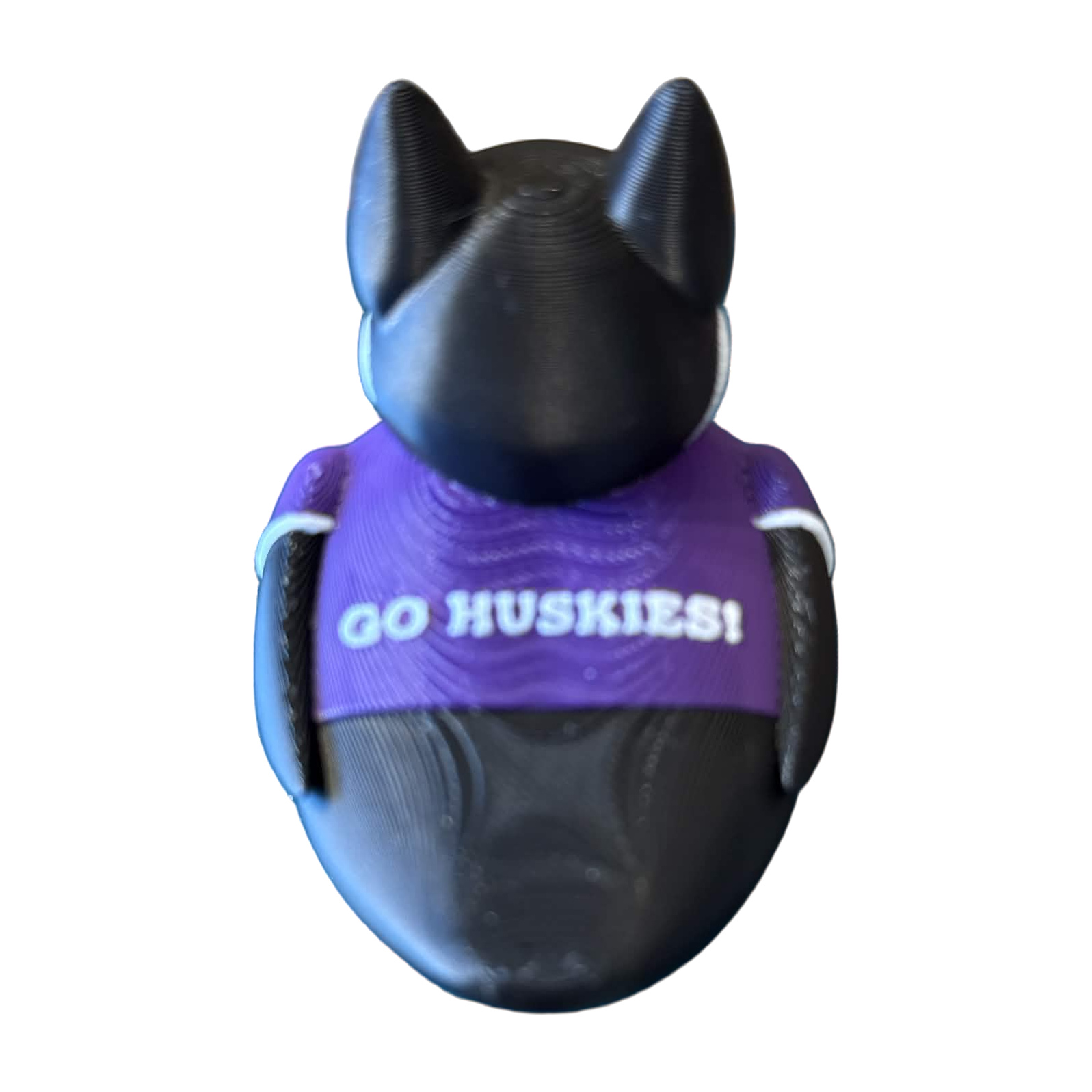 Washington Huskies Duck