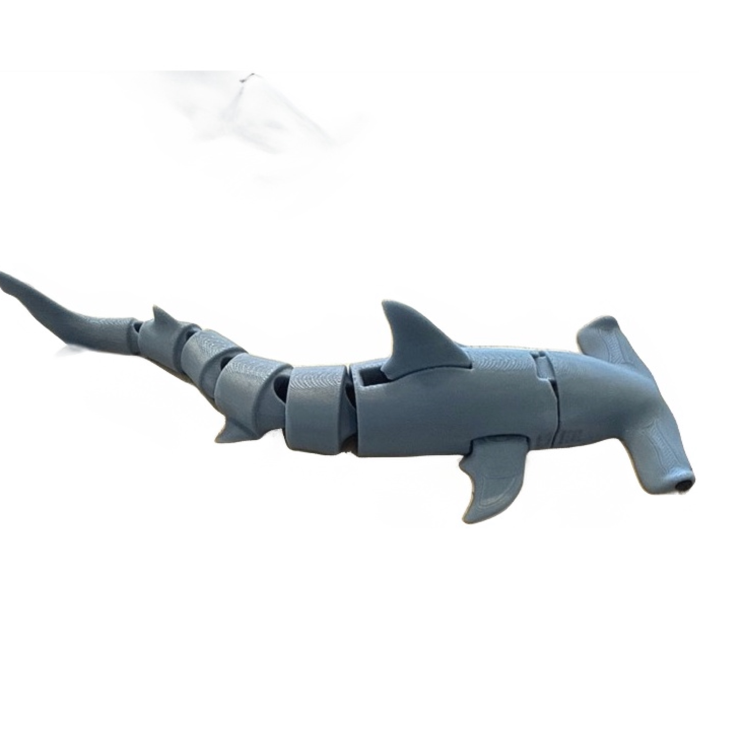 Hammerhead Shark 