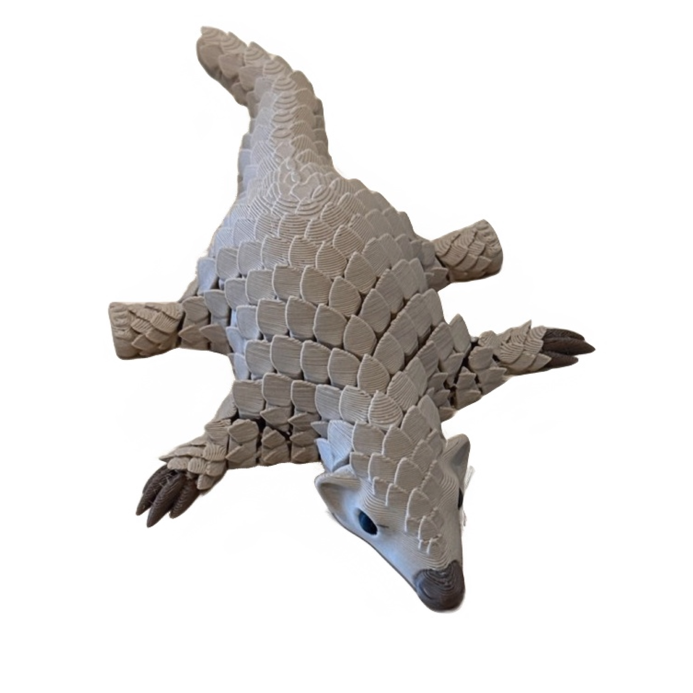Pangolin Flexi