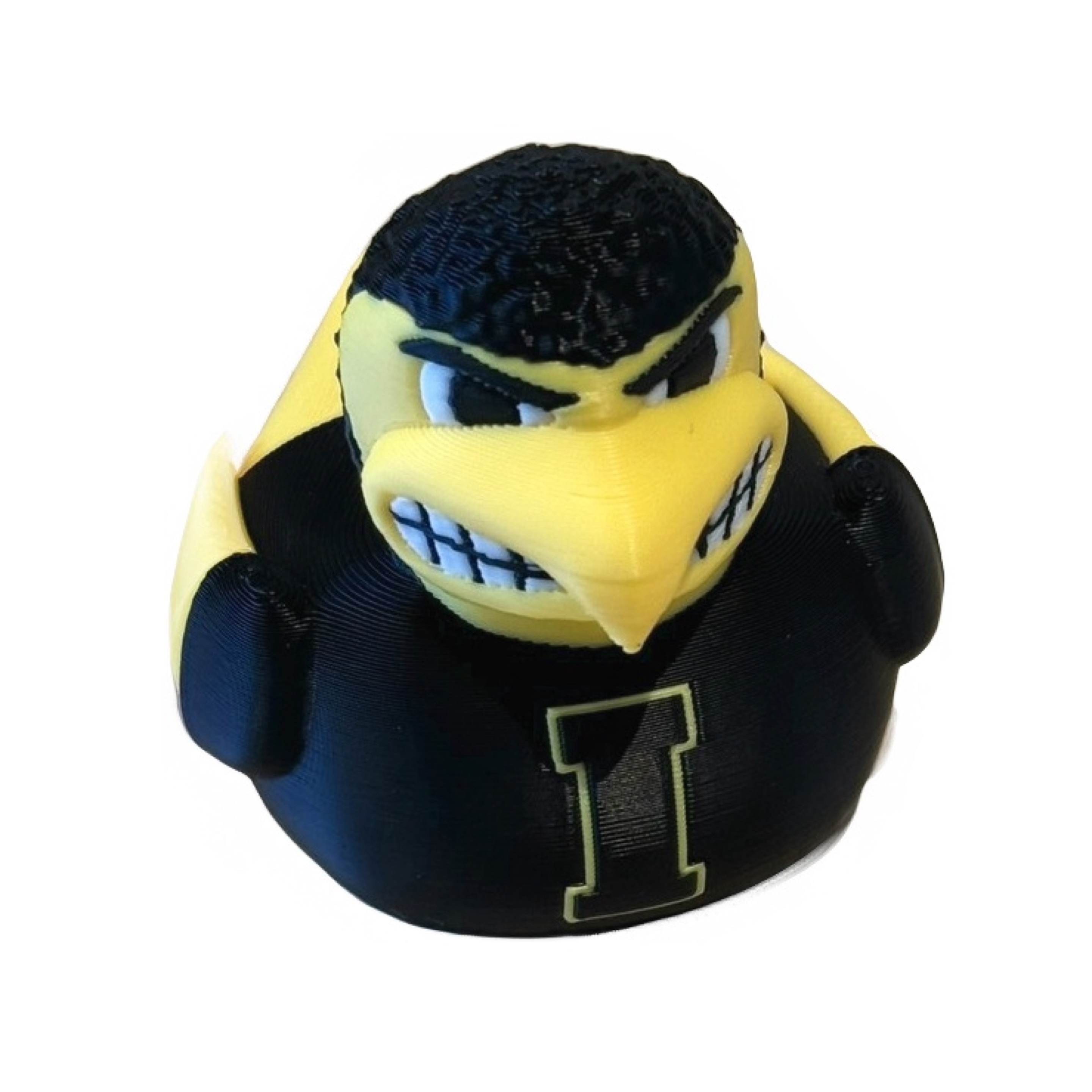 Iowa Hawkeyes Duck