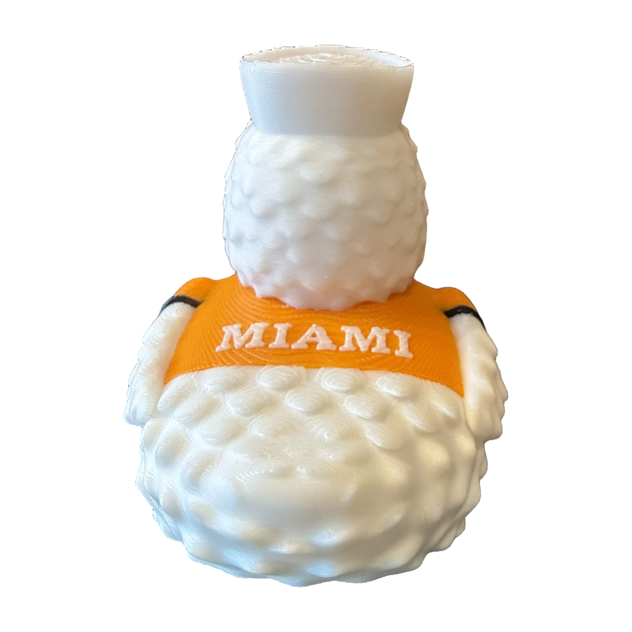 Miami Hurricane Duck