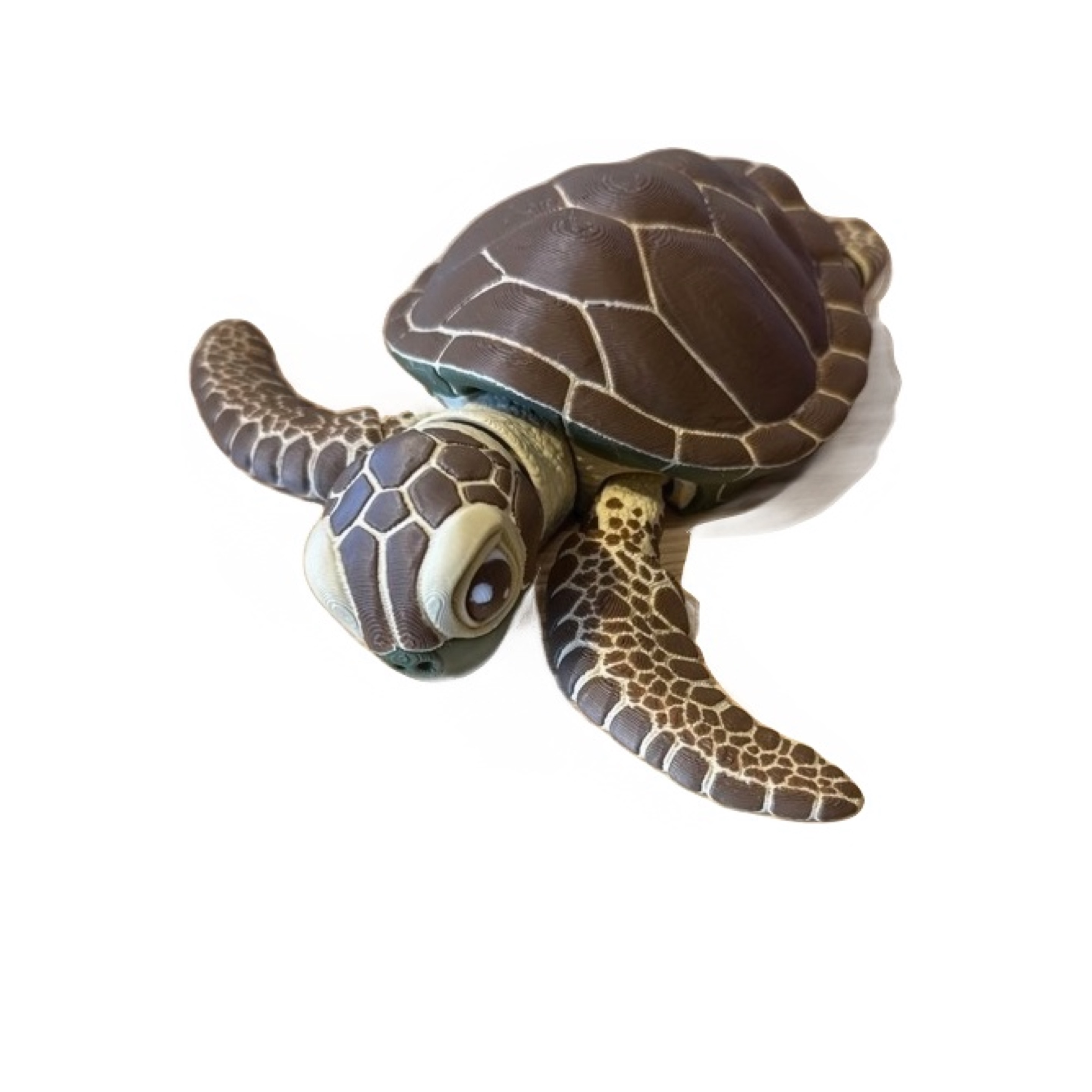 Sea Turtle 