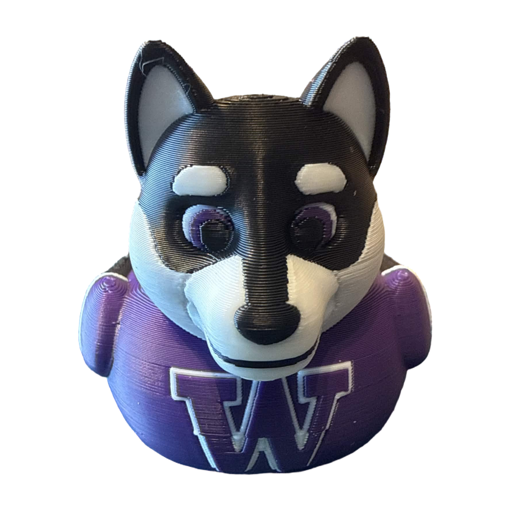 Washington Huskies Duck