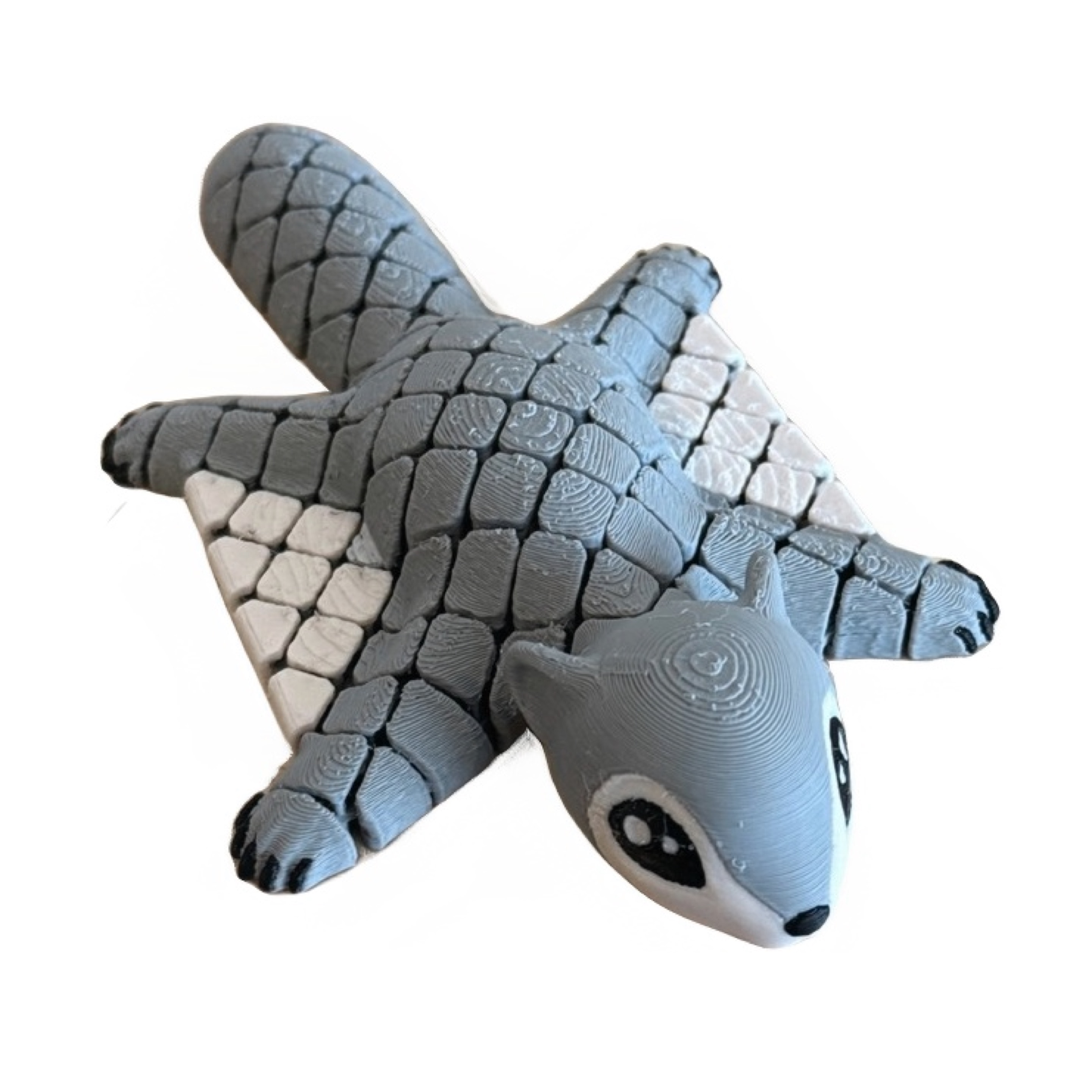 Sugar Glider Flexi