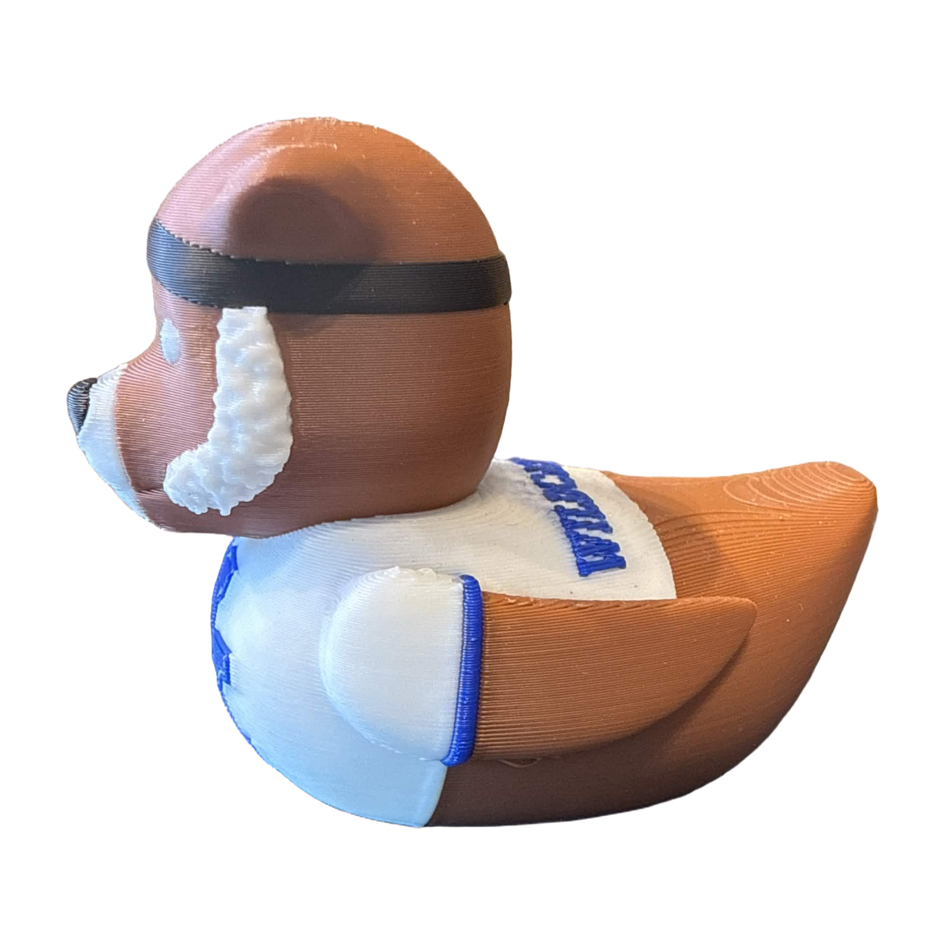 Univ of Kentucky Duck