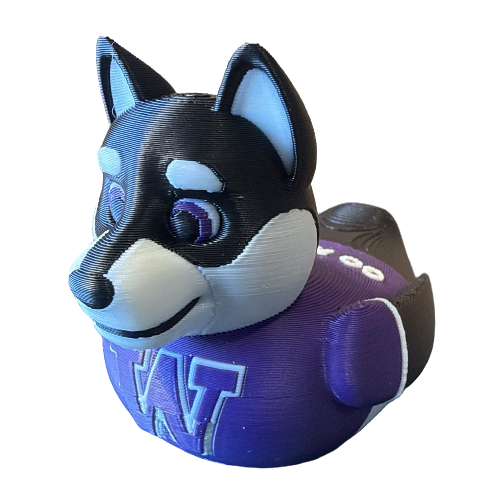 Washington Huskies Duck
