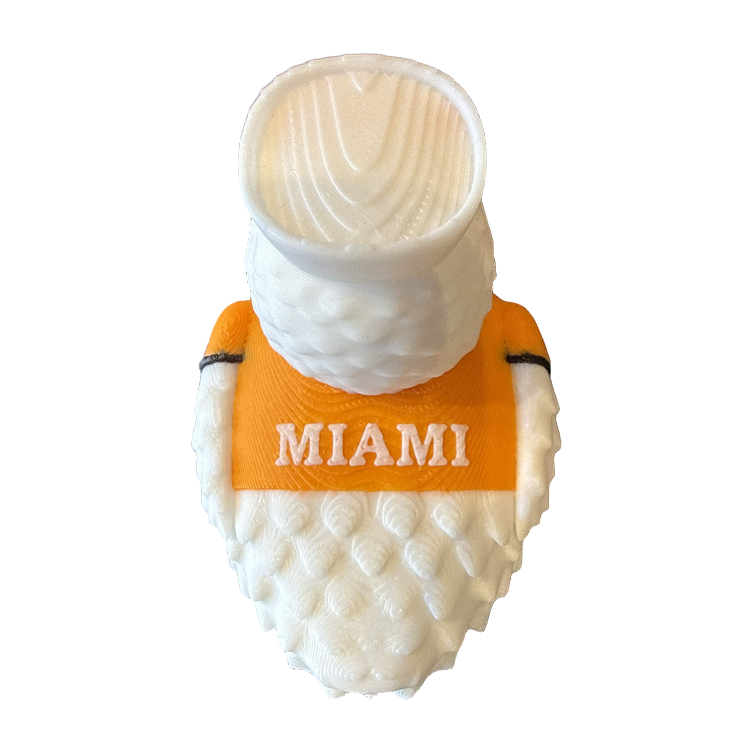 Miami Hurricane Duck