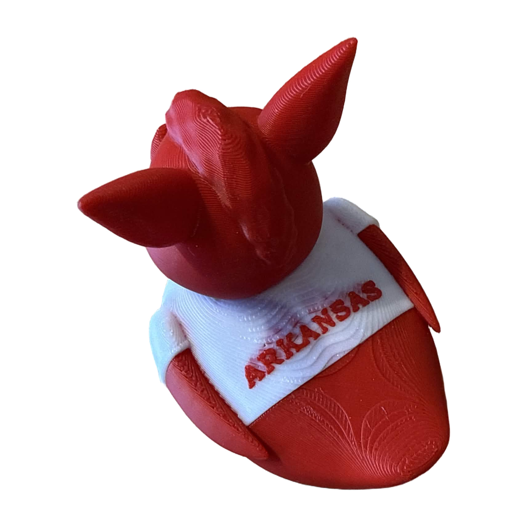 Arkansas Razorbacks Duck