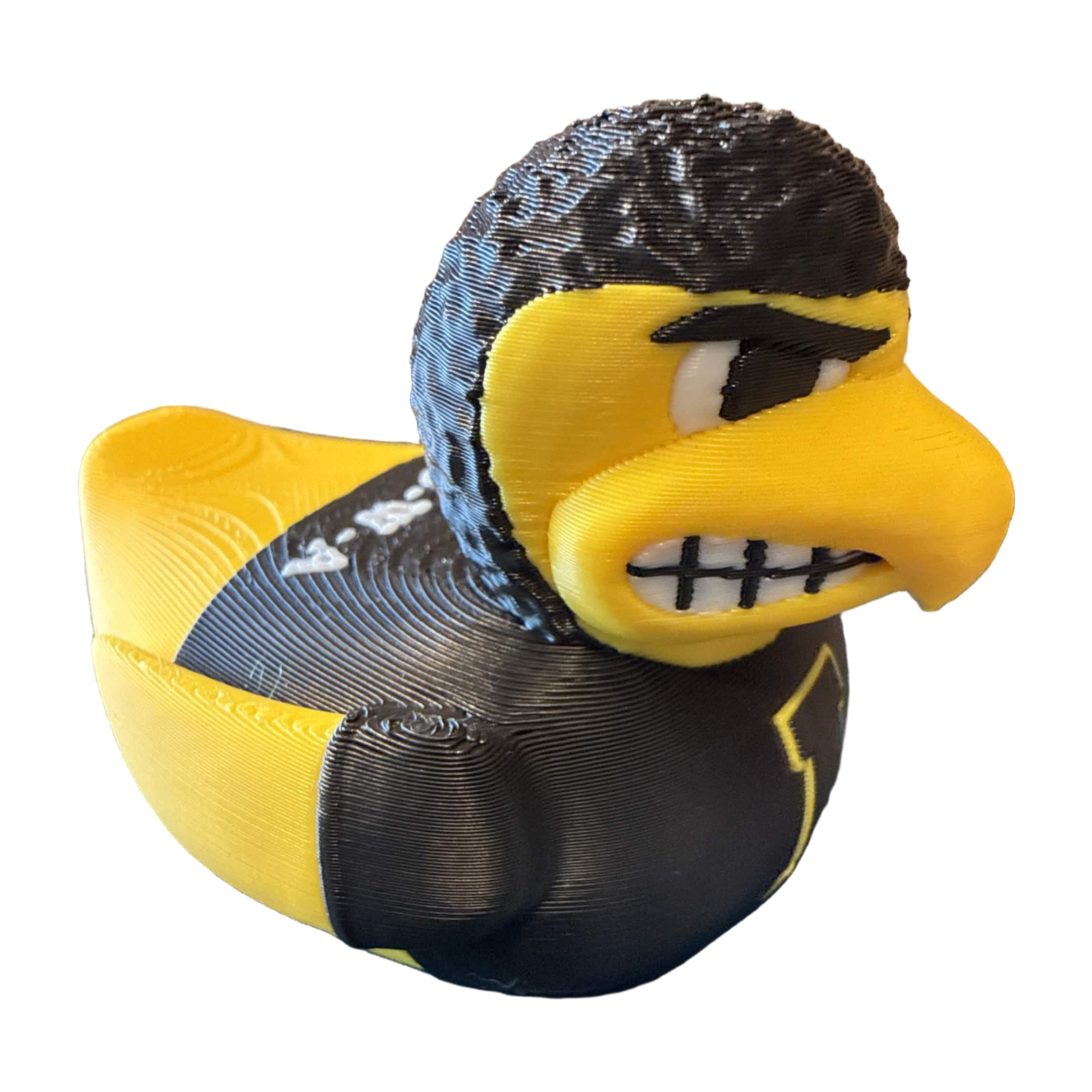 Iowa Hawkeyes Duck