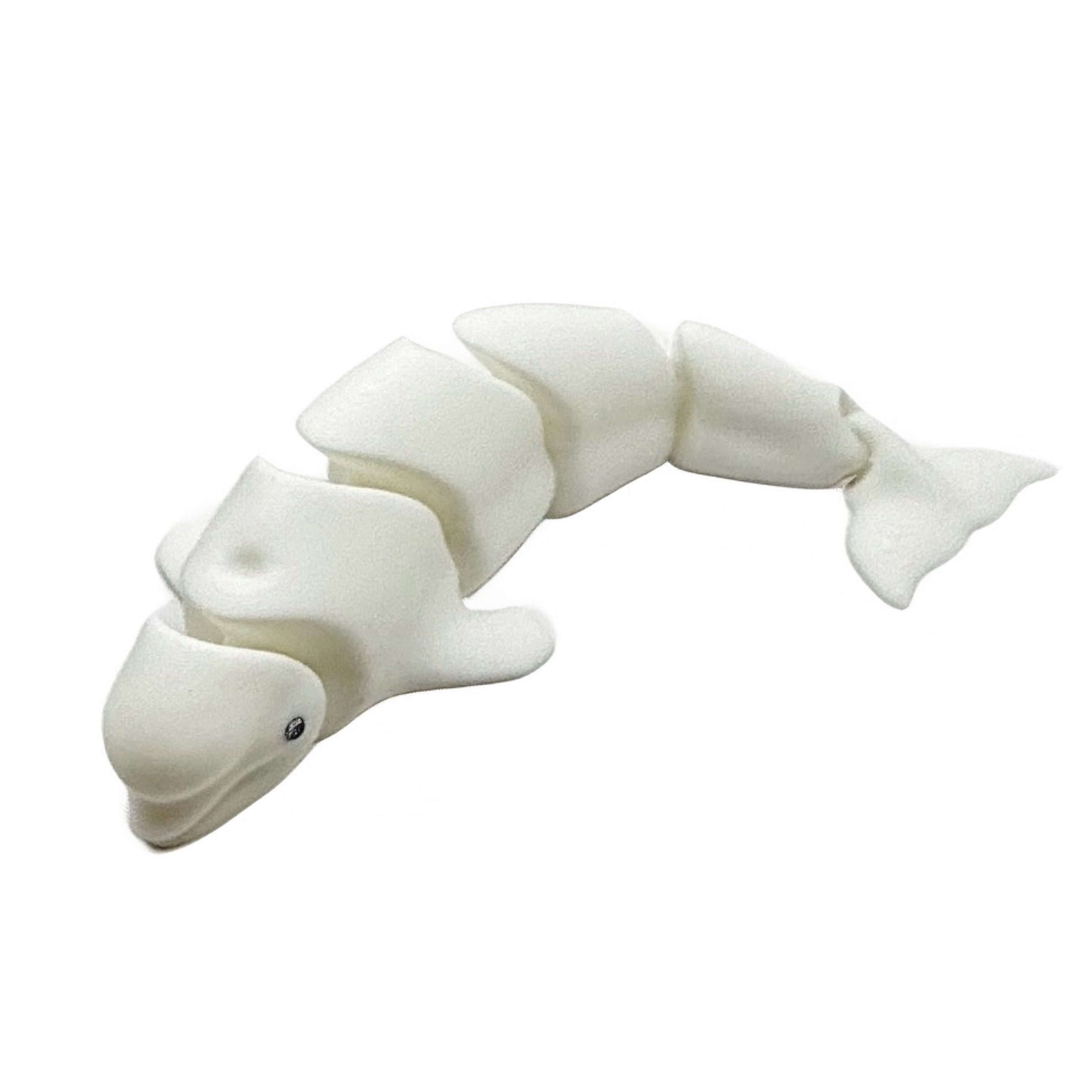 Beluga Whale