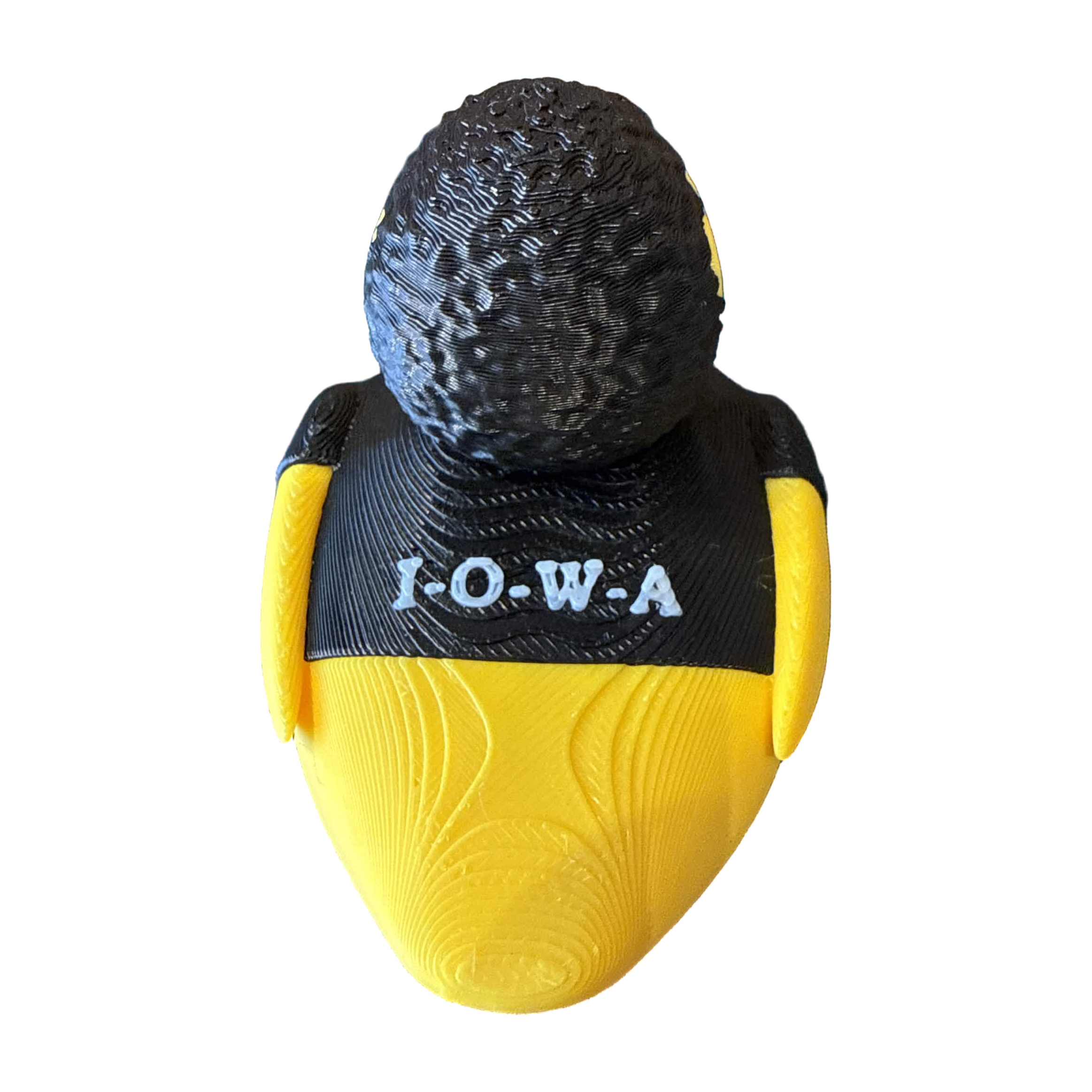 Iowa Hawkeyes Duck