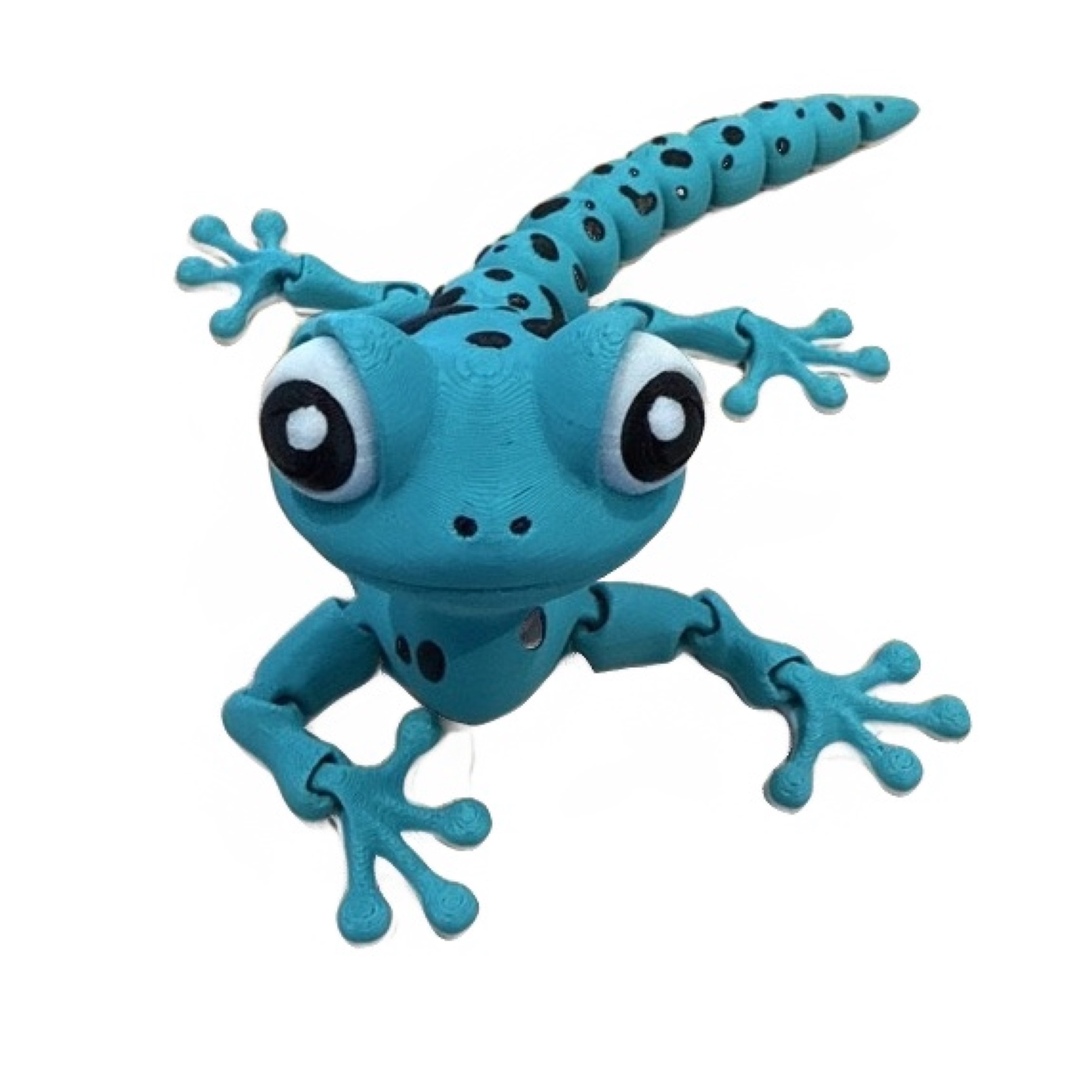 Gecko 