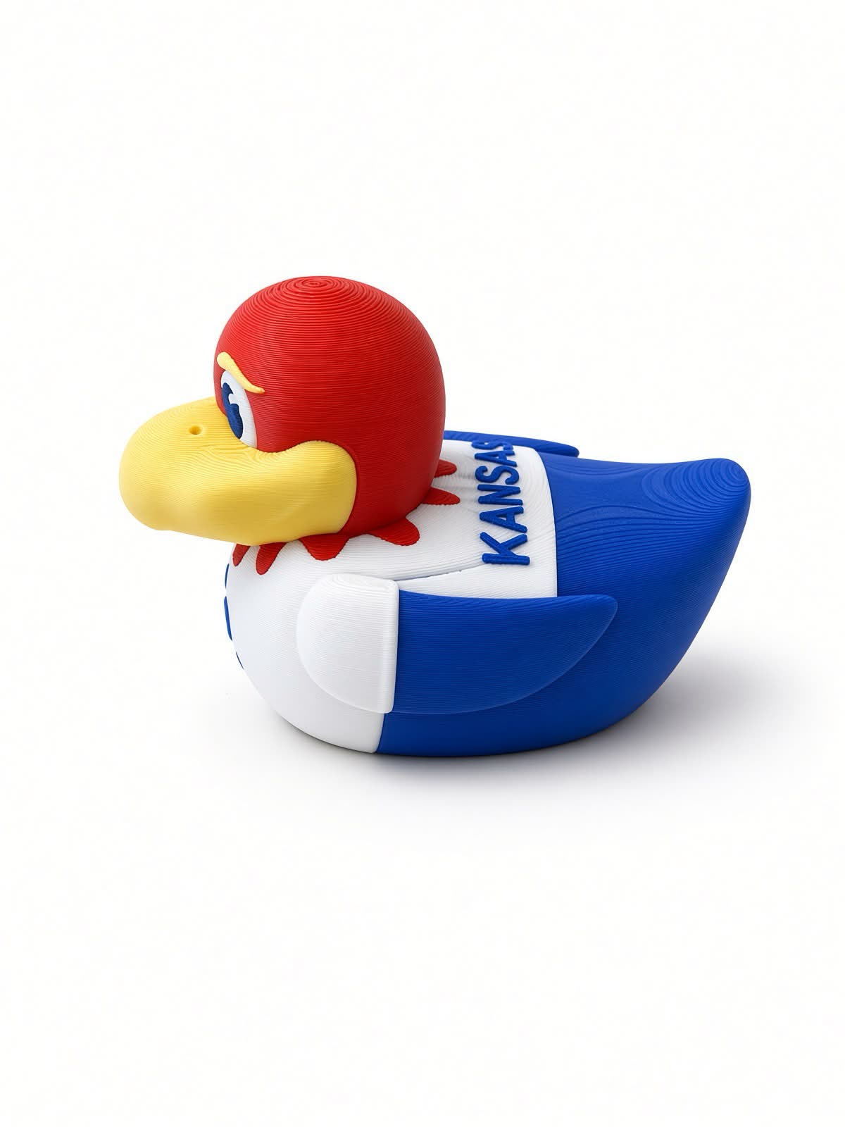 Kansas Baby Jay Duck