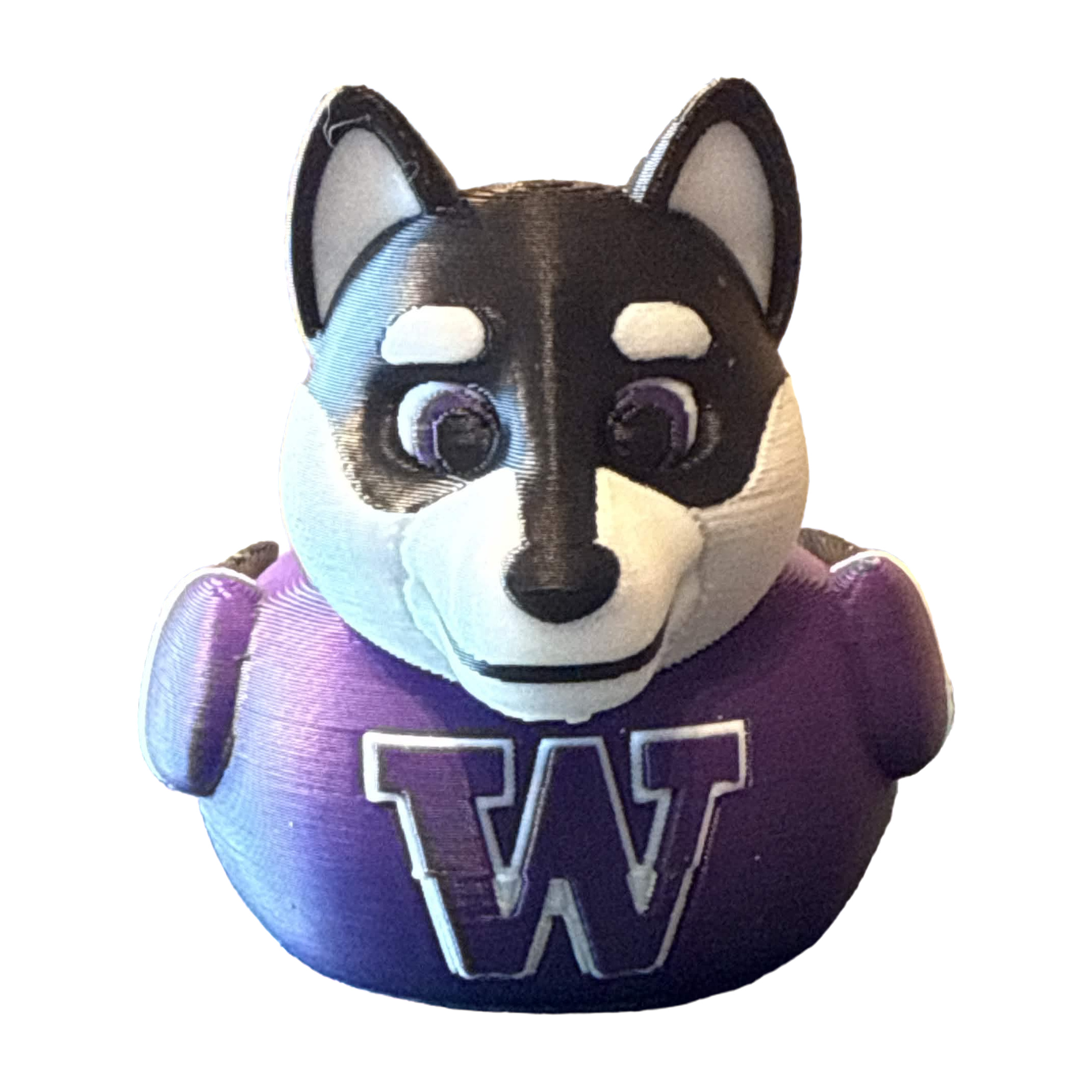 Washington Huskies Duck