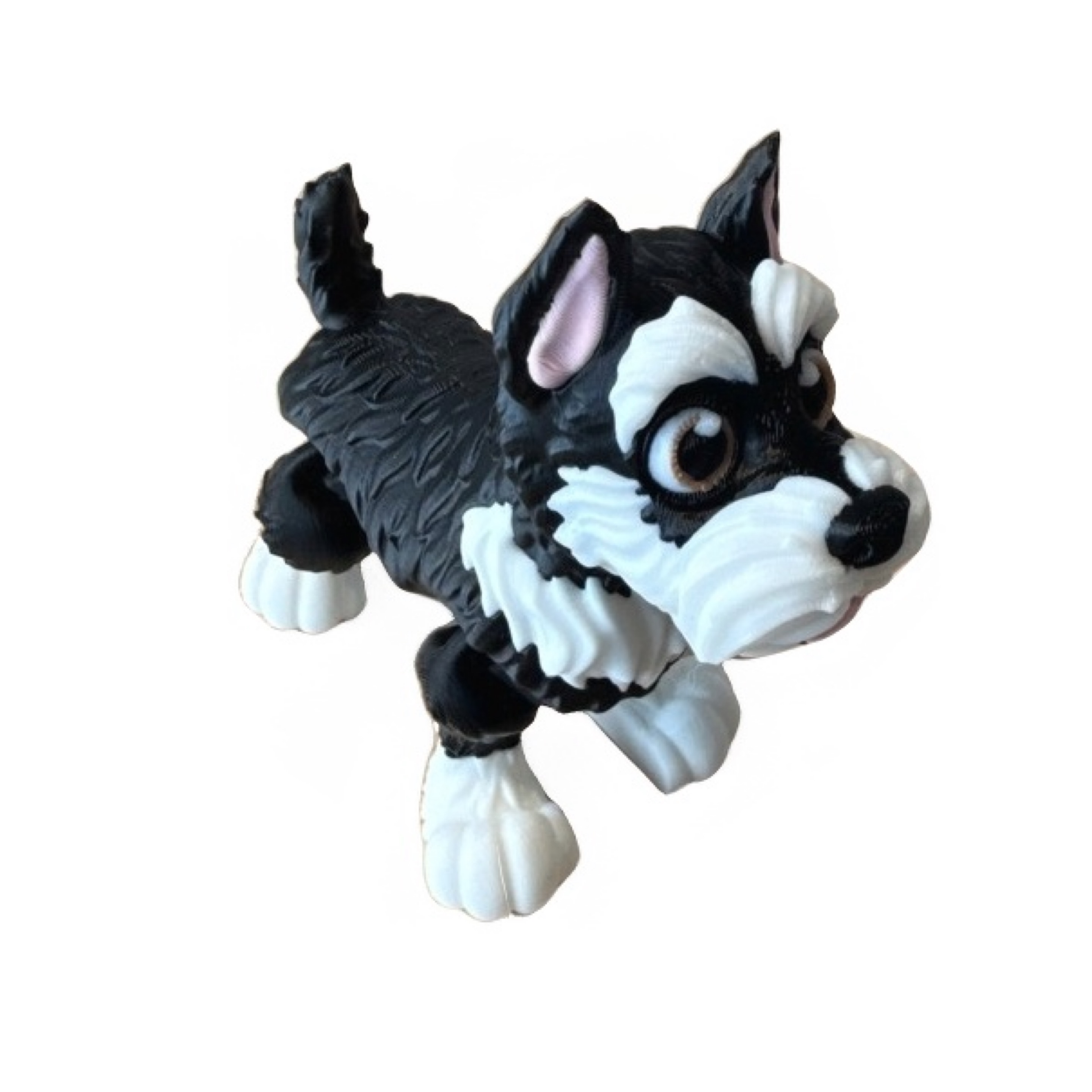 Schnauzer 
