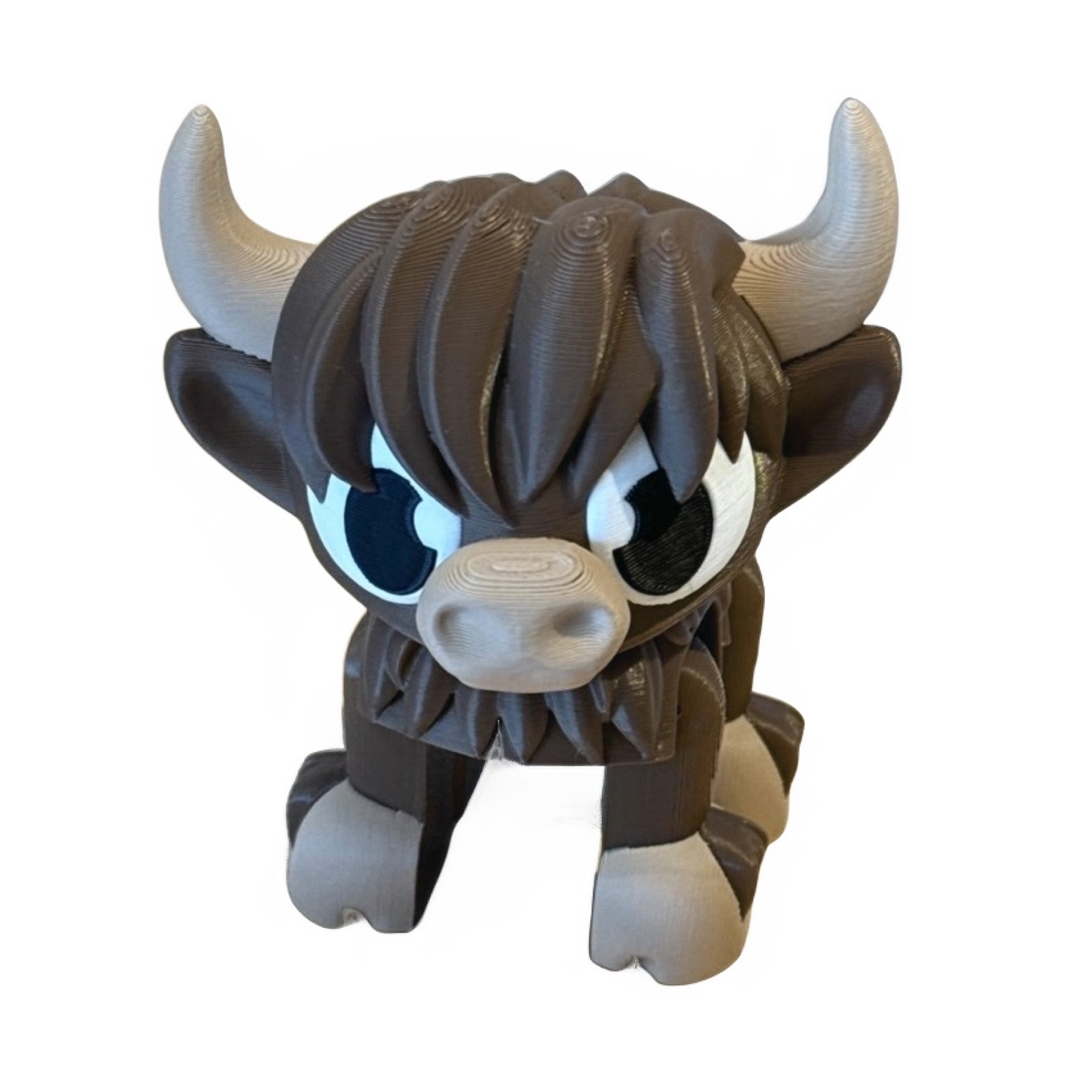 Highland Cow 