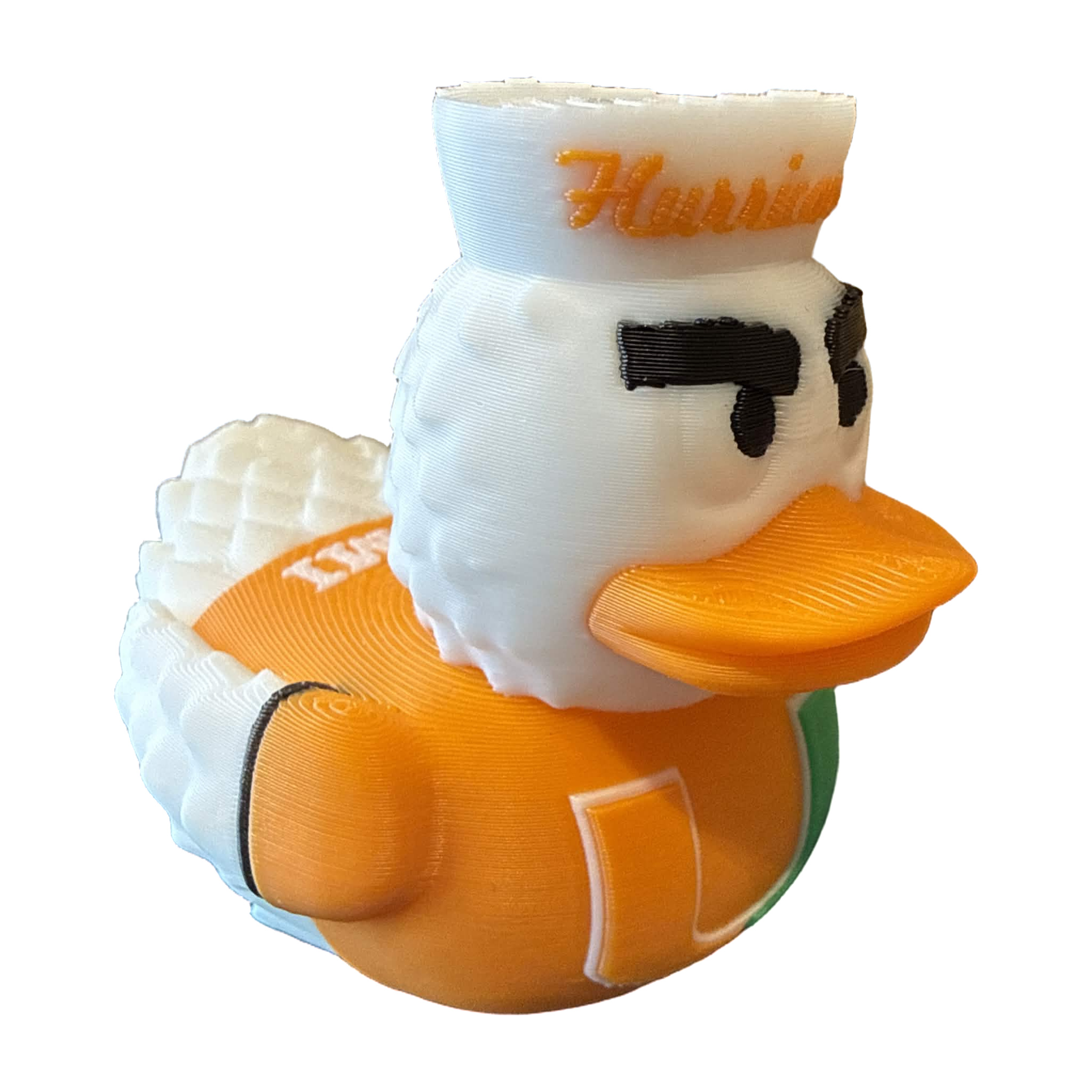 Miami Hurricane Duck
