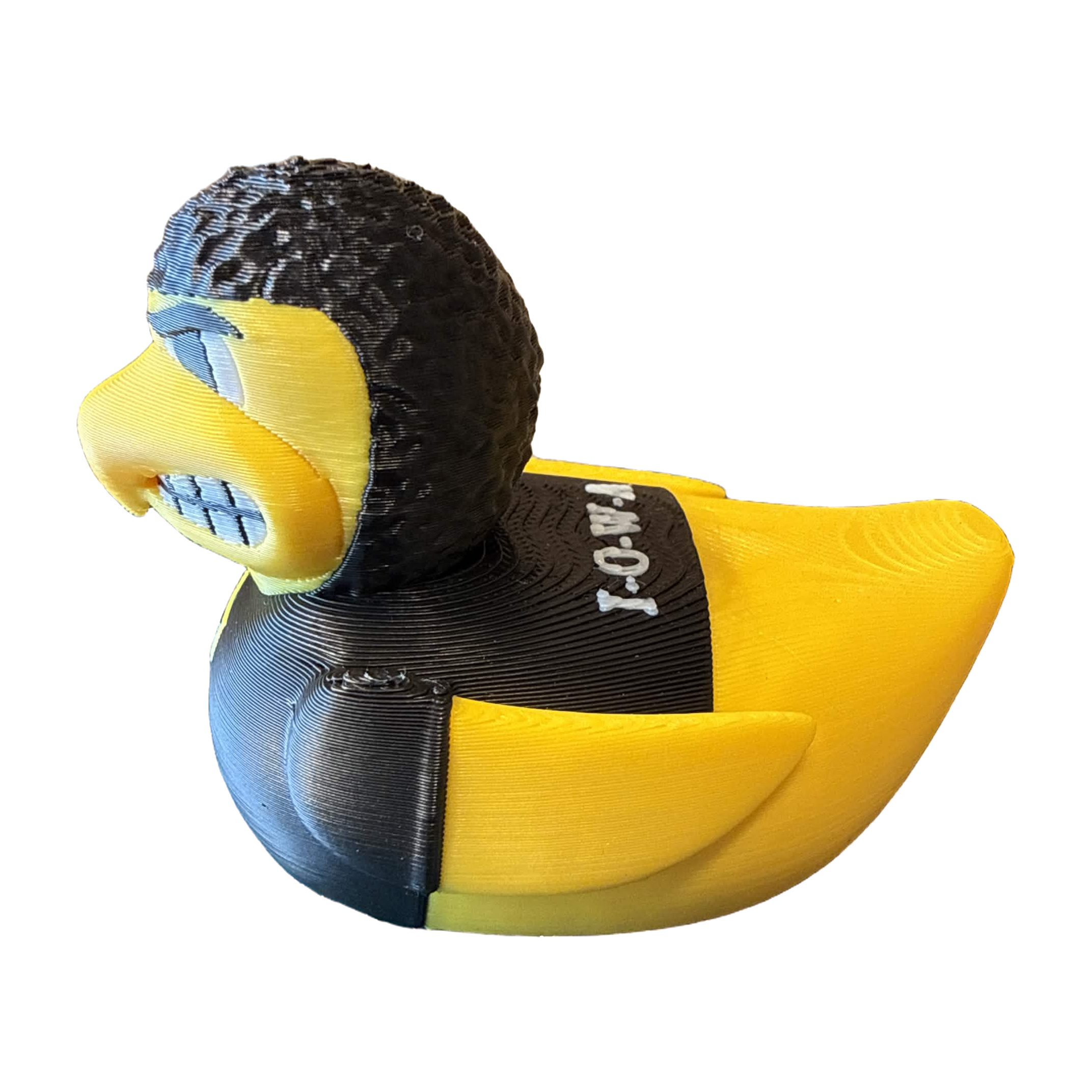 Iowa Hawkeyes Duck