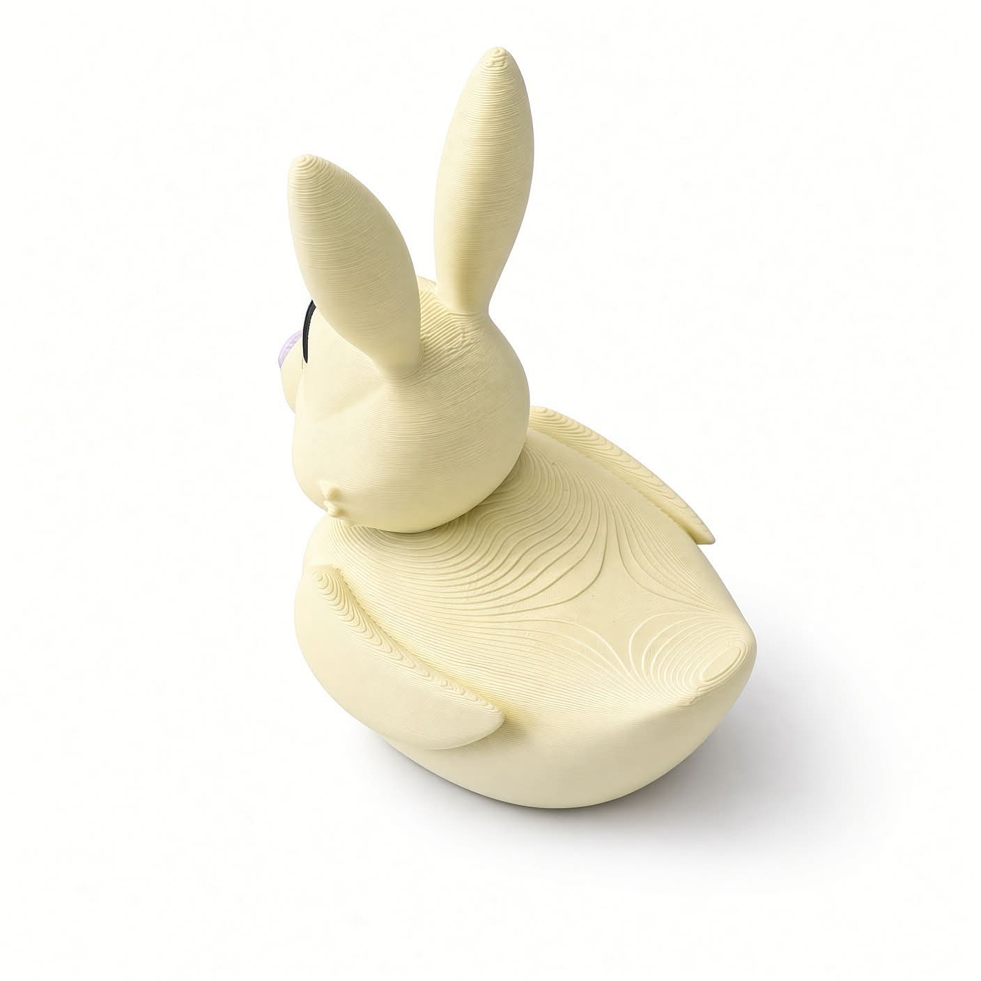Rabbit Duck