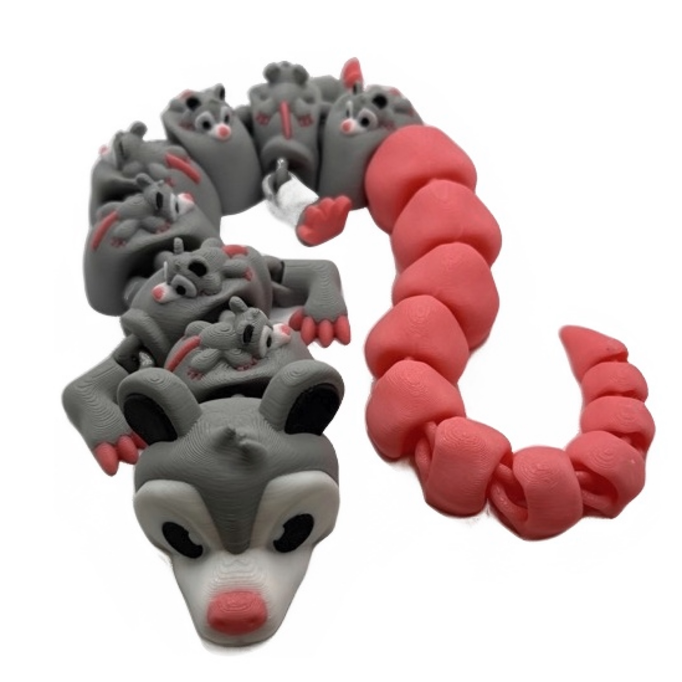 Opossum Dragon 