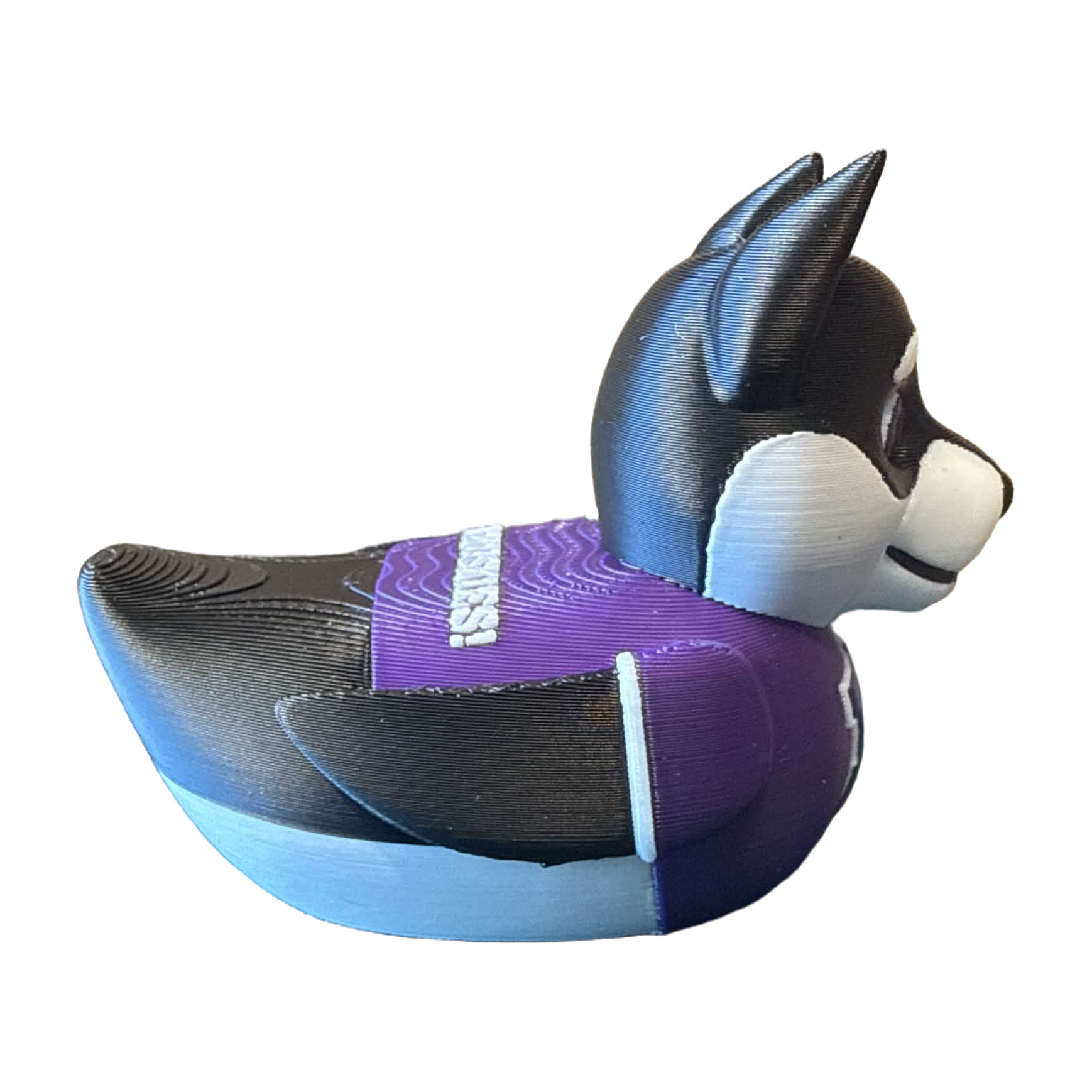 Washington Huskies Duck
